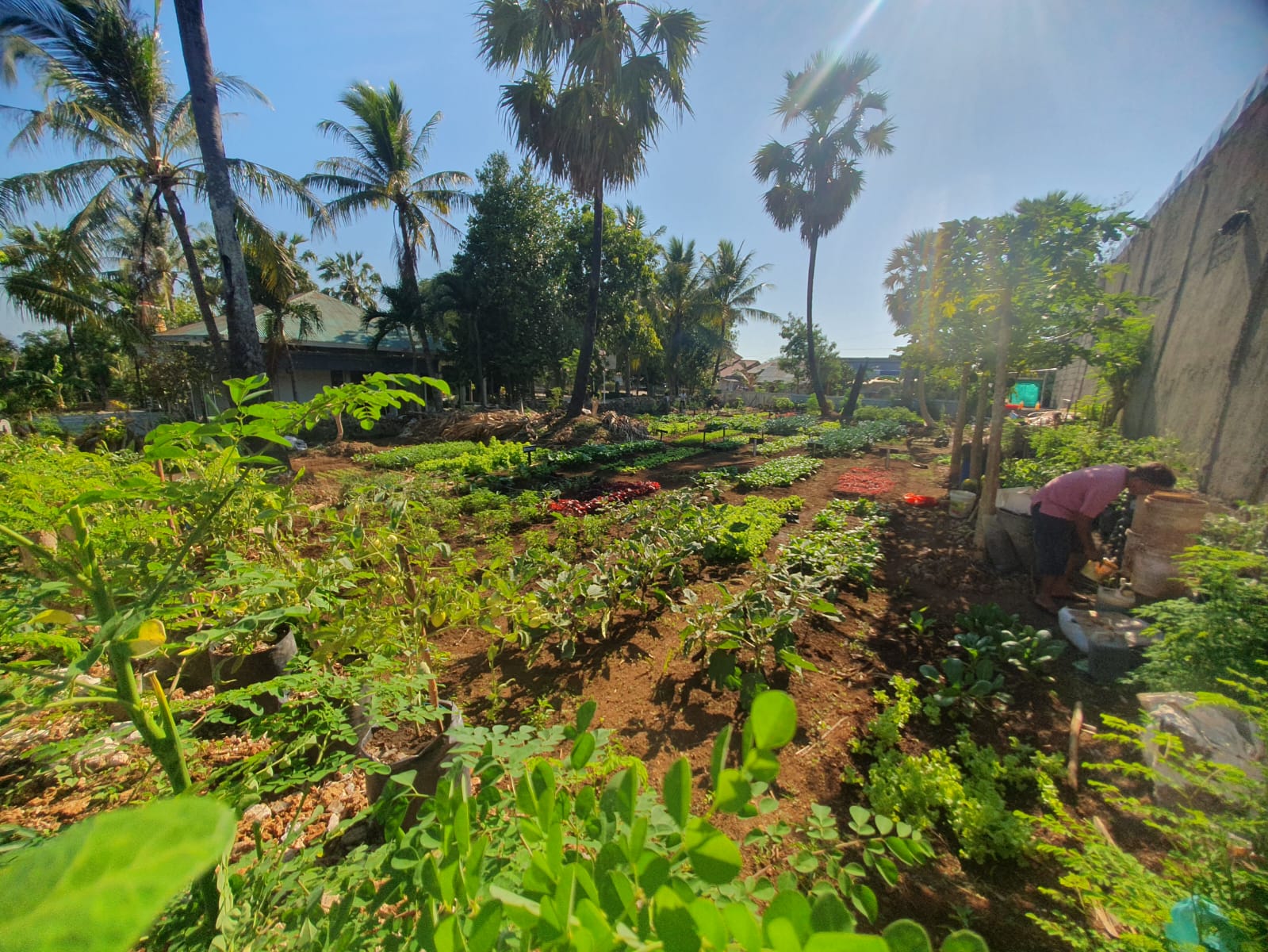 WhatsApp Image 2025-07-07 at 1.27.05 PM